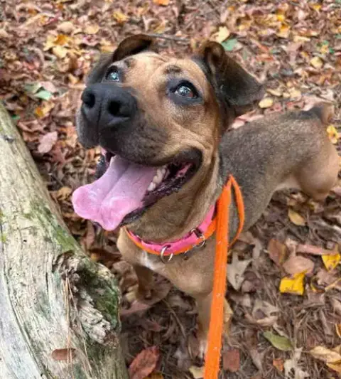 Josie photo 3