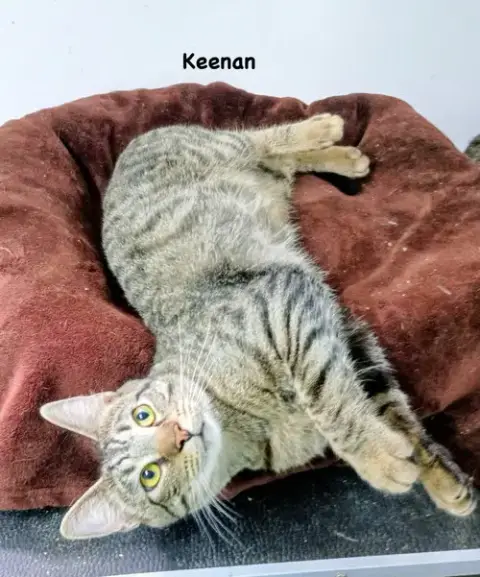 Keenan photo 2
