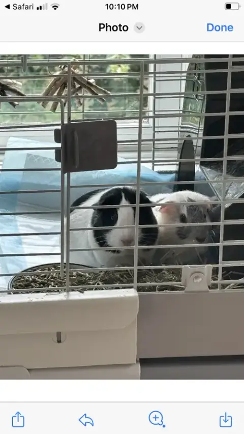 Gus And Frank photo 2