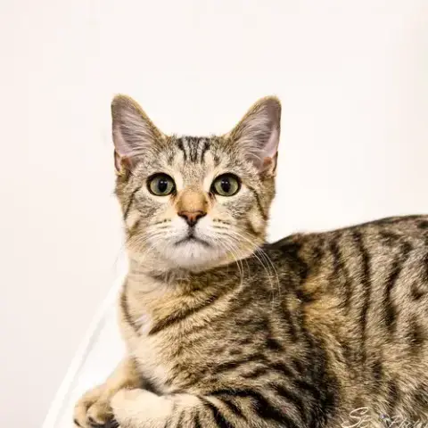 Oscar photo 3