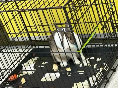 Kimora photo 2