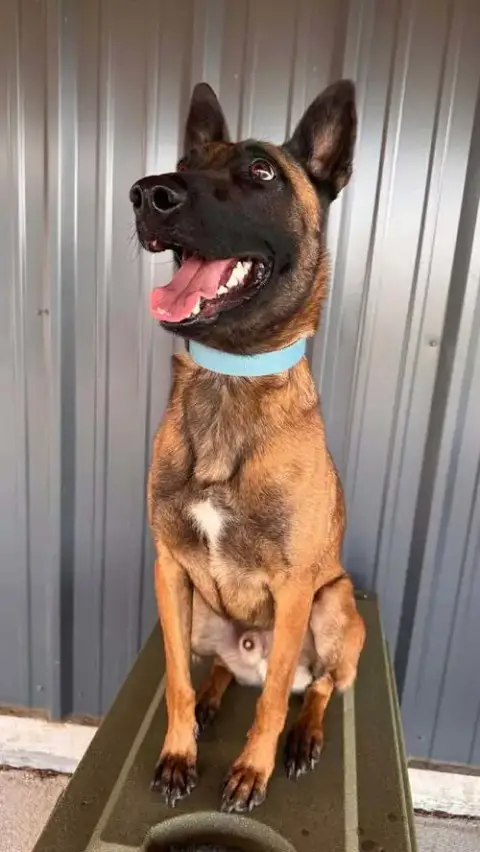 Jake- Located In Oklahoma photo 3