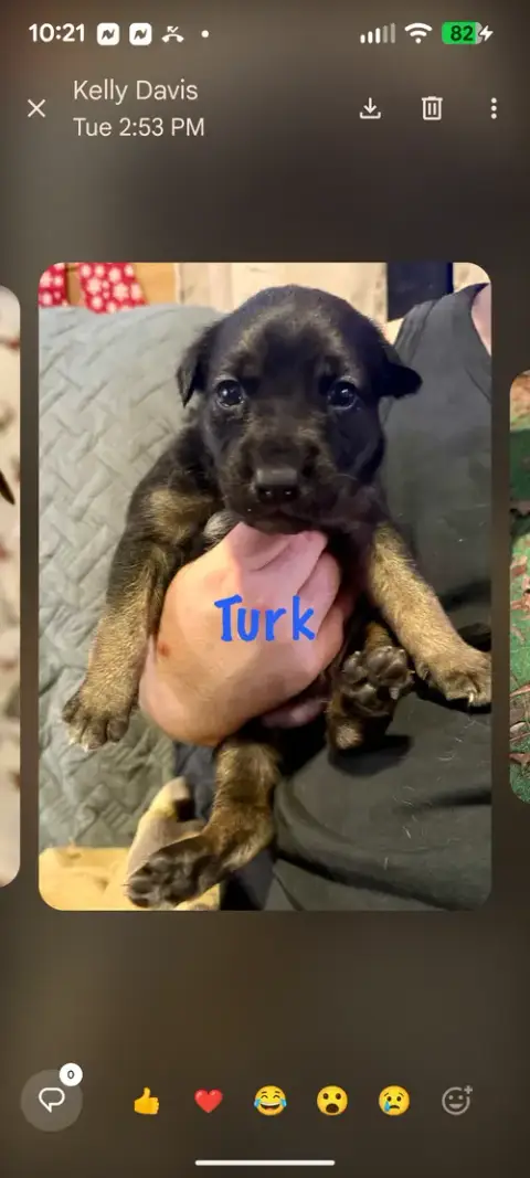 Turk