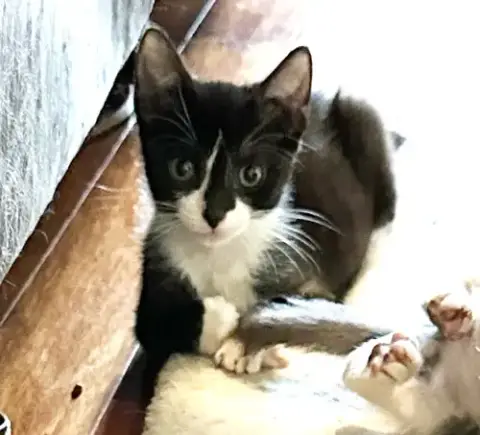Dewie photo 3