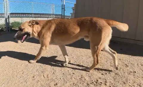 Bradley photo 5