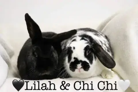 Lilah "Lil"