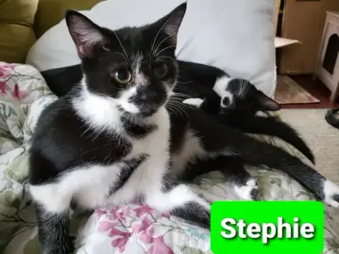 Stephie photo 2