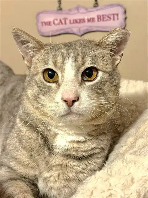 Sam