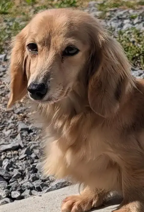 Eve In Sc