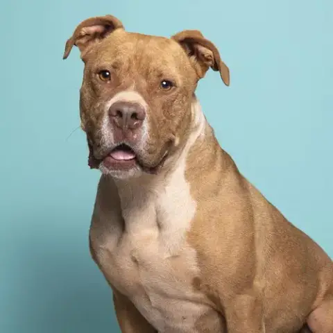 Caine photo 2