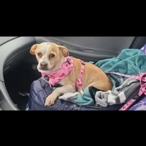 Bonnie photo 5