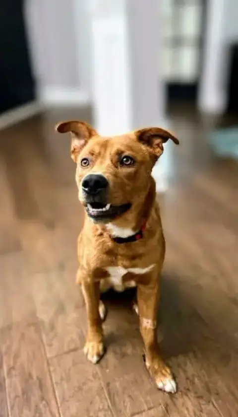 Young Cooper photo 3