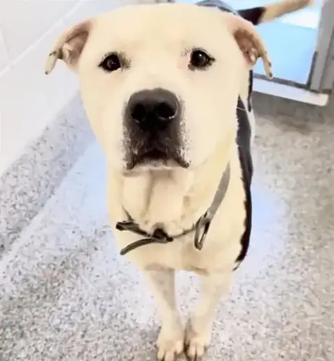 Billy