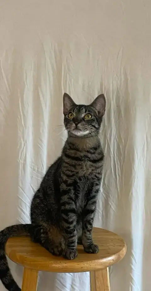 Max photo 3
