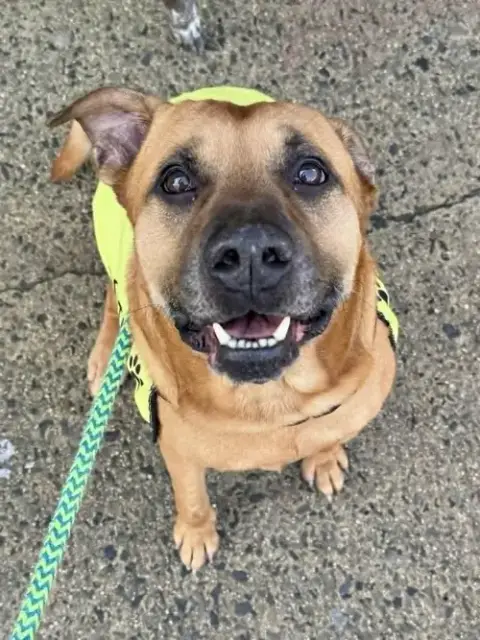 Buster