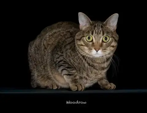 Woodrow photo 2