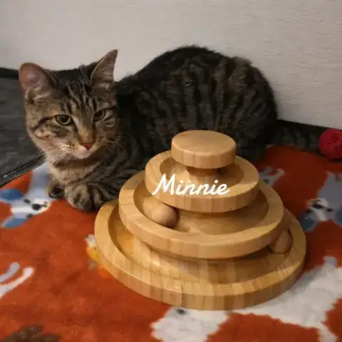 Minnie photo 2