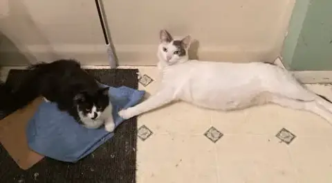 Mallory Bonded With Fran photo 3