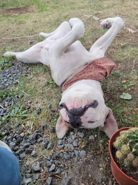 Freya photo 2