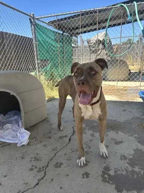 Addie photo 2