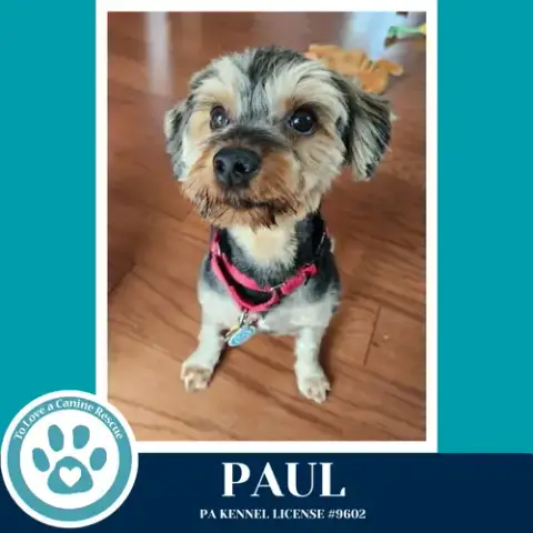Paul 041126 photo 4