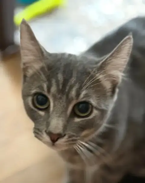 Buddy photo 3