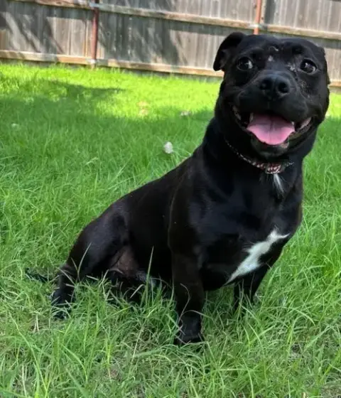 Doug