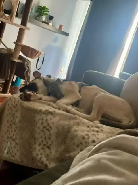 Luna photo 2