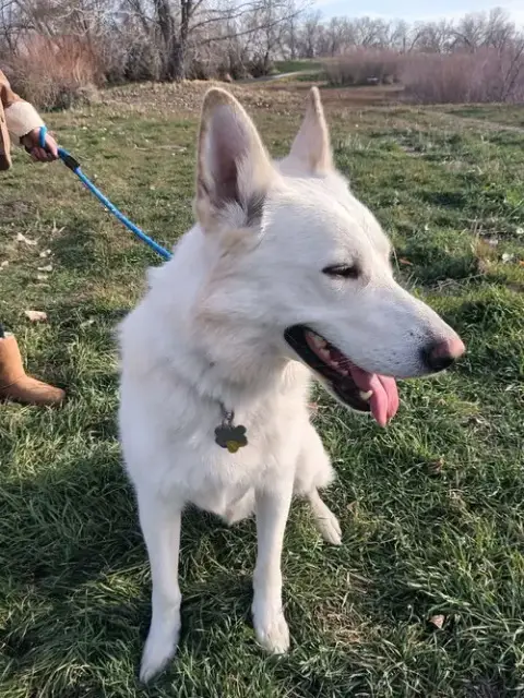 Bestest Buddy photo 4