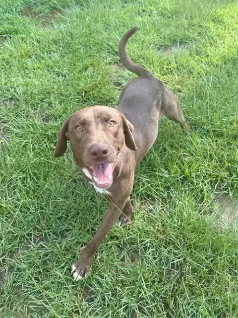 Tucker photo 3