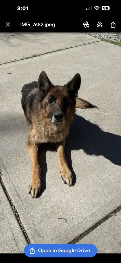 Koda photo 3