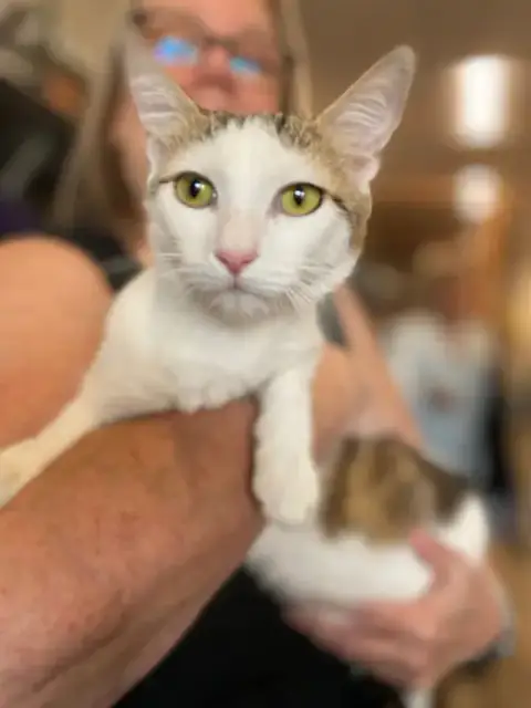 Carmel & Salt