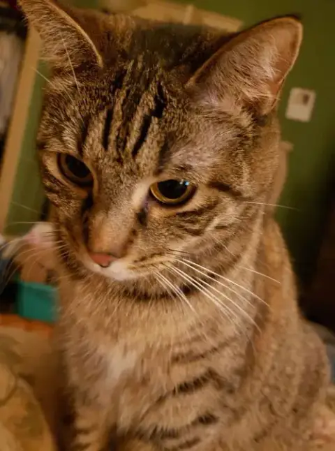 Dilly photo 2