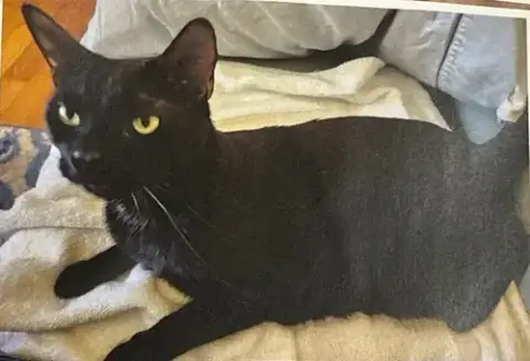 Cosmo