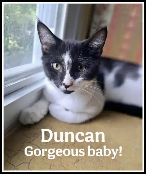 Duncan