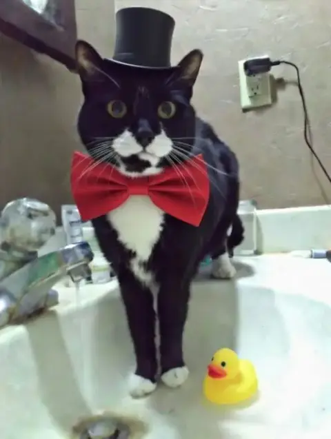 Ralphie