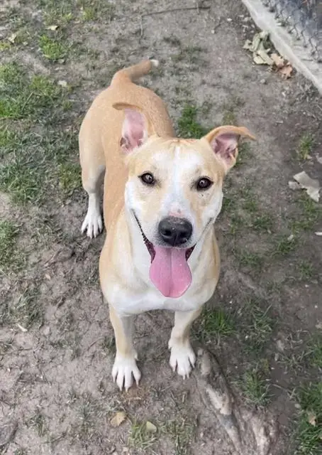 Zeera