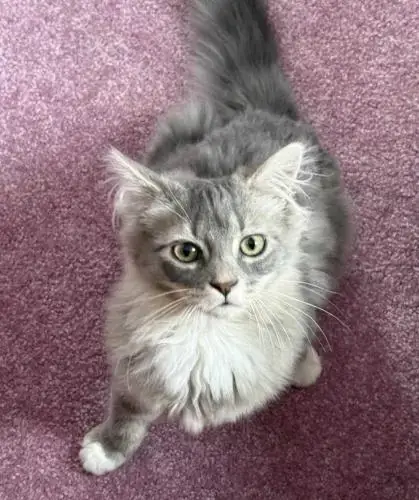 Freya photo 4