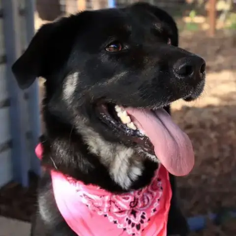 Lilly photo 4