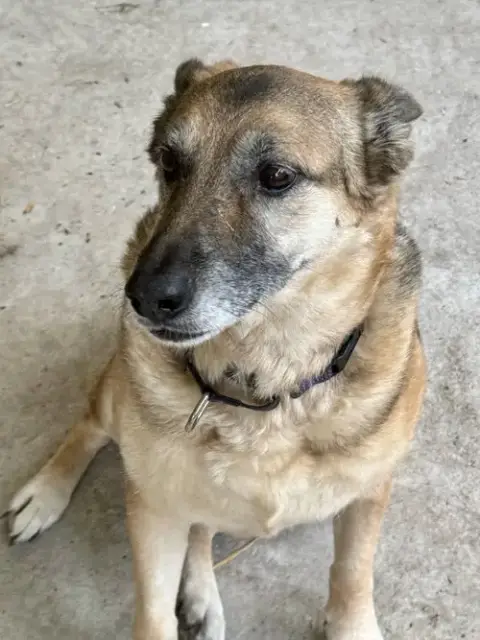 Maddie