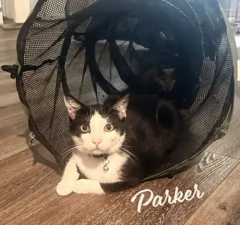 Parker #Trailer-Trash-No-More