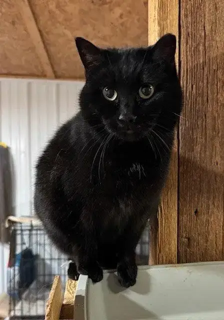 Abby