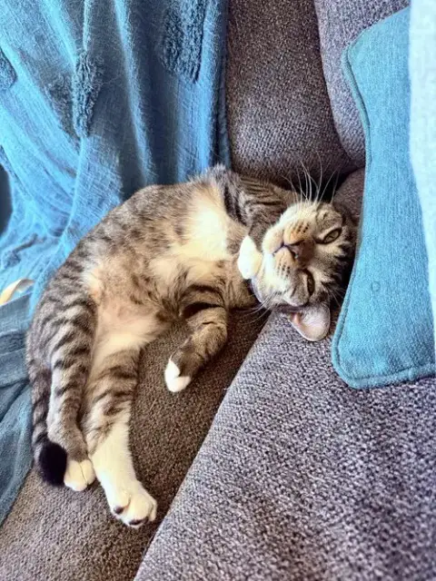 *Samara photo 3