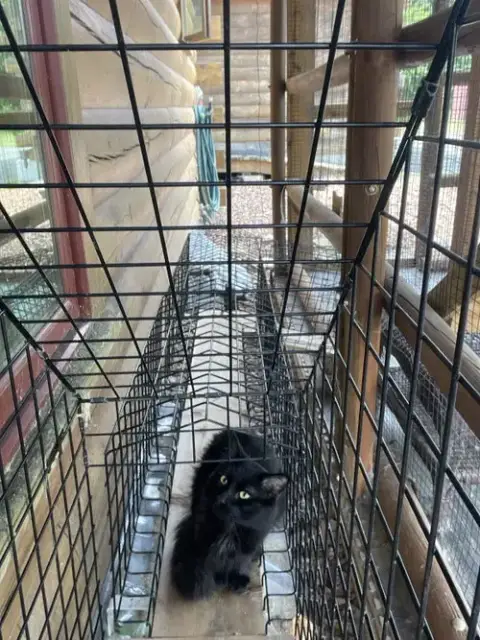 Adopter Fudge