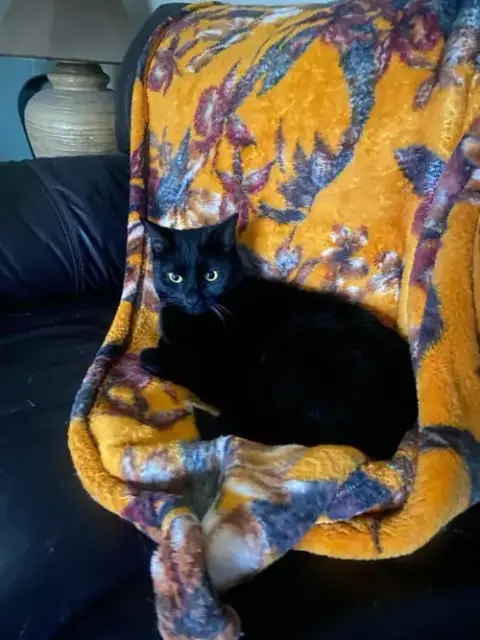 Bridgette