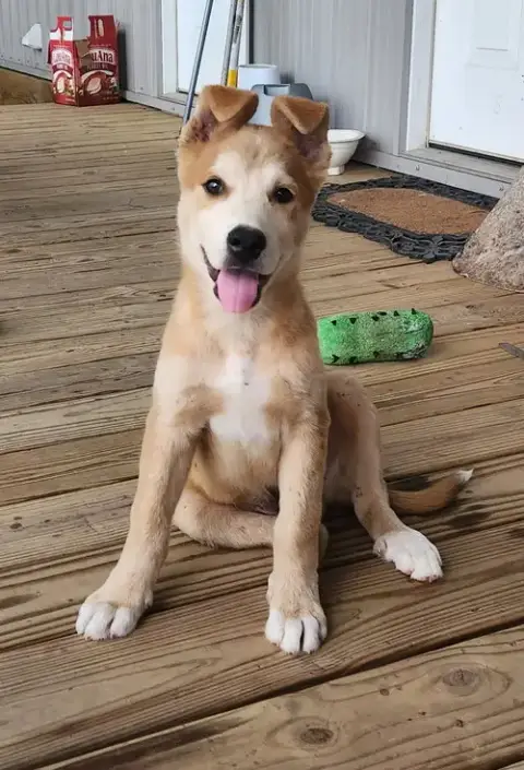 Cooper- Cutest Boy!
