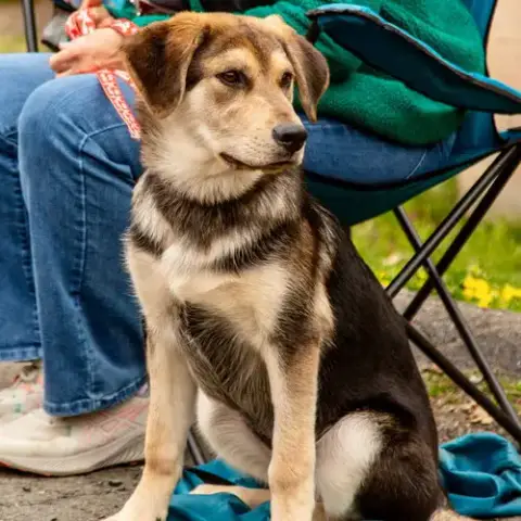 Suki photo 2