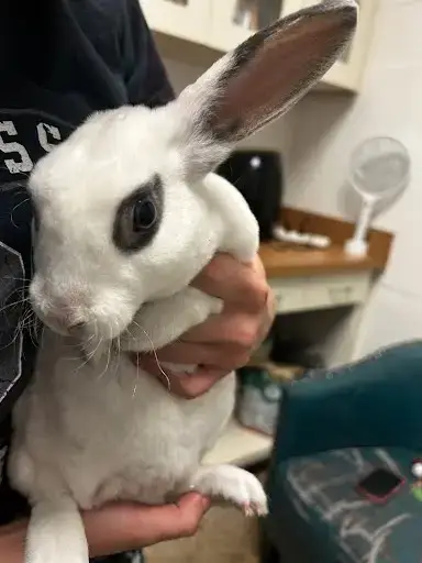 Fluffy
