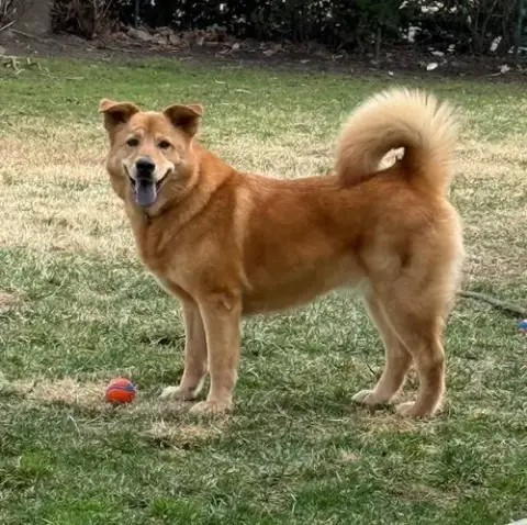 Oakley photo 2