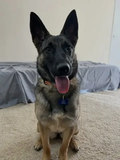 Xena